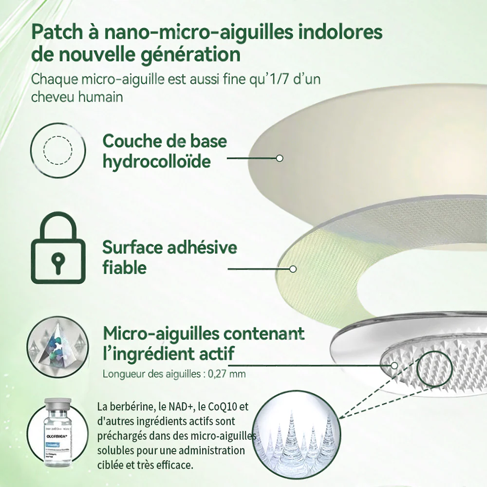 🔥 Nouveauté & Meilleure vente丨Purelora® Moringa Berbérine x NAD+ Patch Nano-Microneedle 10-en-1 Une application par jour, changements visibles dès 7 jours. Pour accompagner la gestion du poids et le bien-être global. - Image 14