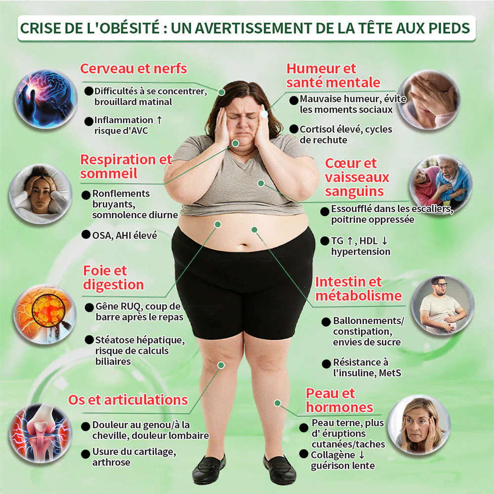 💖𝑷𝒉𝒂𝒓𝒎𝒂𝒄𝒊𝒆 𝑶𝒇𝒇𝒊𝒄𝒊𝒆𝒍𝒍𝒆💖 | 🇫🇷 Purelora® Moringa · Berbérine Patch 10-en-1 aux Nano-Micro-Aiguilles et Cryo-Gel ✅𝐏𝐨𝐮𝐫 𝐥’𝐨𝐛é𝐬𝐢𝐭é, 🅟🅔🅐🅤 🅡🅔🅛â🅒🅗é🅔,𝐝𝐢𝐚𝐛è𝐭𝐞, 𝐚𝐩𝐧é𝐞 𝐝𝐮 𝐬𝐨𝐦𝐦𝐞𝐢𝐥, 𝐩𝐫𝐨𝐛𝐥è𝐦𝐞𝐬 𝐚𝐫𝐭𝐢𝐜𝐮𝐥𝐚𝐢𝐫𝐞𝐬, 𝐞𝐭 𝐛𝐢𝐞𝐧 𝐩𝐥𝐮𝐬 - Image 4