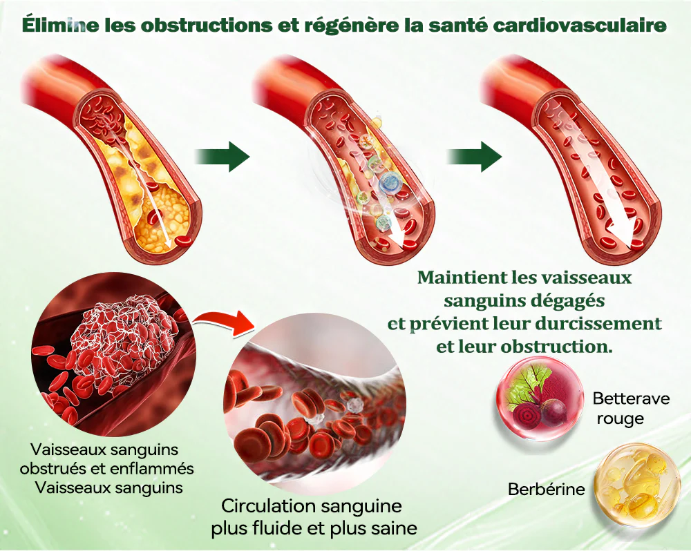 🔥 Nouveauté & Meilleure vente丨Purelora® Moringa Berbérine x NAD+ Patch Nano-Microneedle 10-en-1 Une application par jour, changements visibles dès 7 jours. Pour accompagner la gestion du poids et le bien-être global. - Image 4
